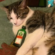 jagermeister