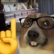 Captus