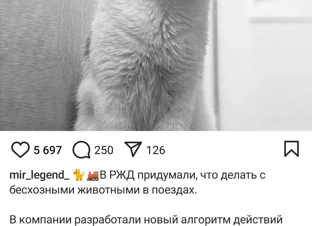 Что теперь нельзя делать собственнику со стенами в своей квартире