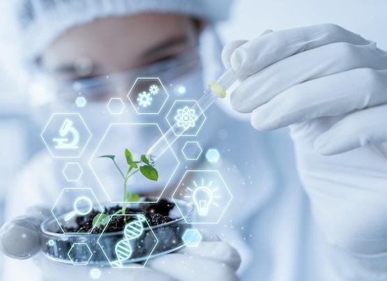 В России хотят постепенно заменить судей, юристов и адвокатов на искусственный интеллект