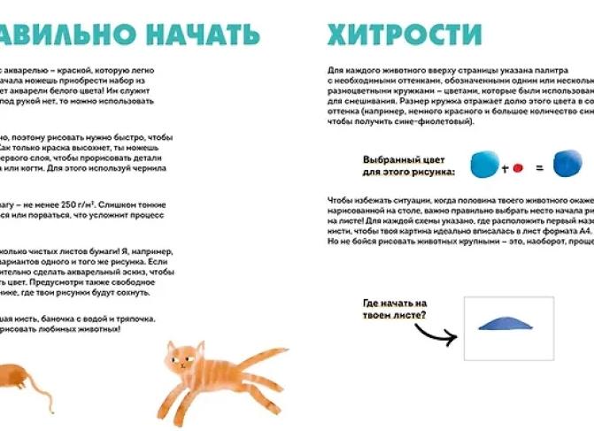 Пять документов, которые лучше получить заранее, чтобы потом не потерять в размере назначенной пенсии