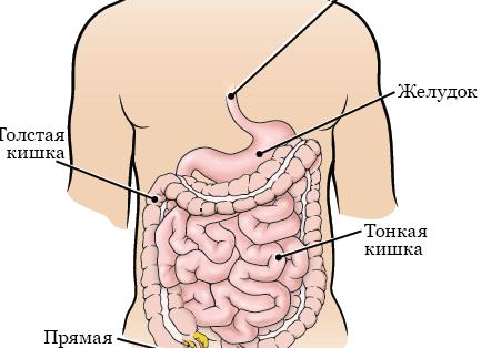 Чем восстанавливаются юристы, если им выключить режим 