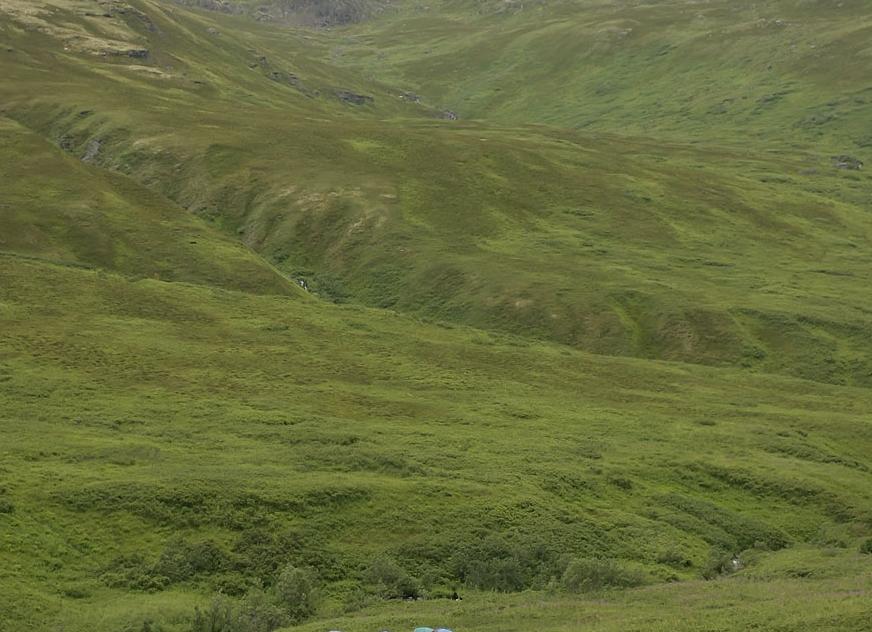 С какой целью специально мошенники забывают банковскую карту в банкомате
