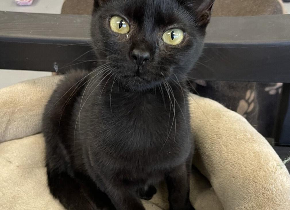 Игнорирование методик расчета площади мансарды обернулось убытками для Росреестра