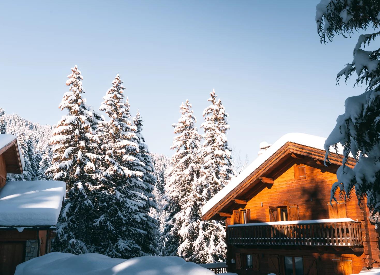 Скоро можно будет продать недвижимость при помощи биометрии: последствия для собственников и покупателей