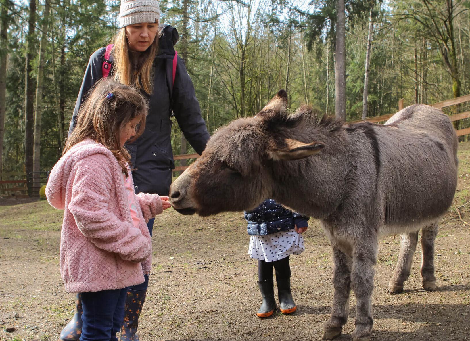 С 1 июня 2025 года – три важных новых правила для владельцев квартир в многоквартирных домах